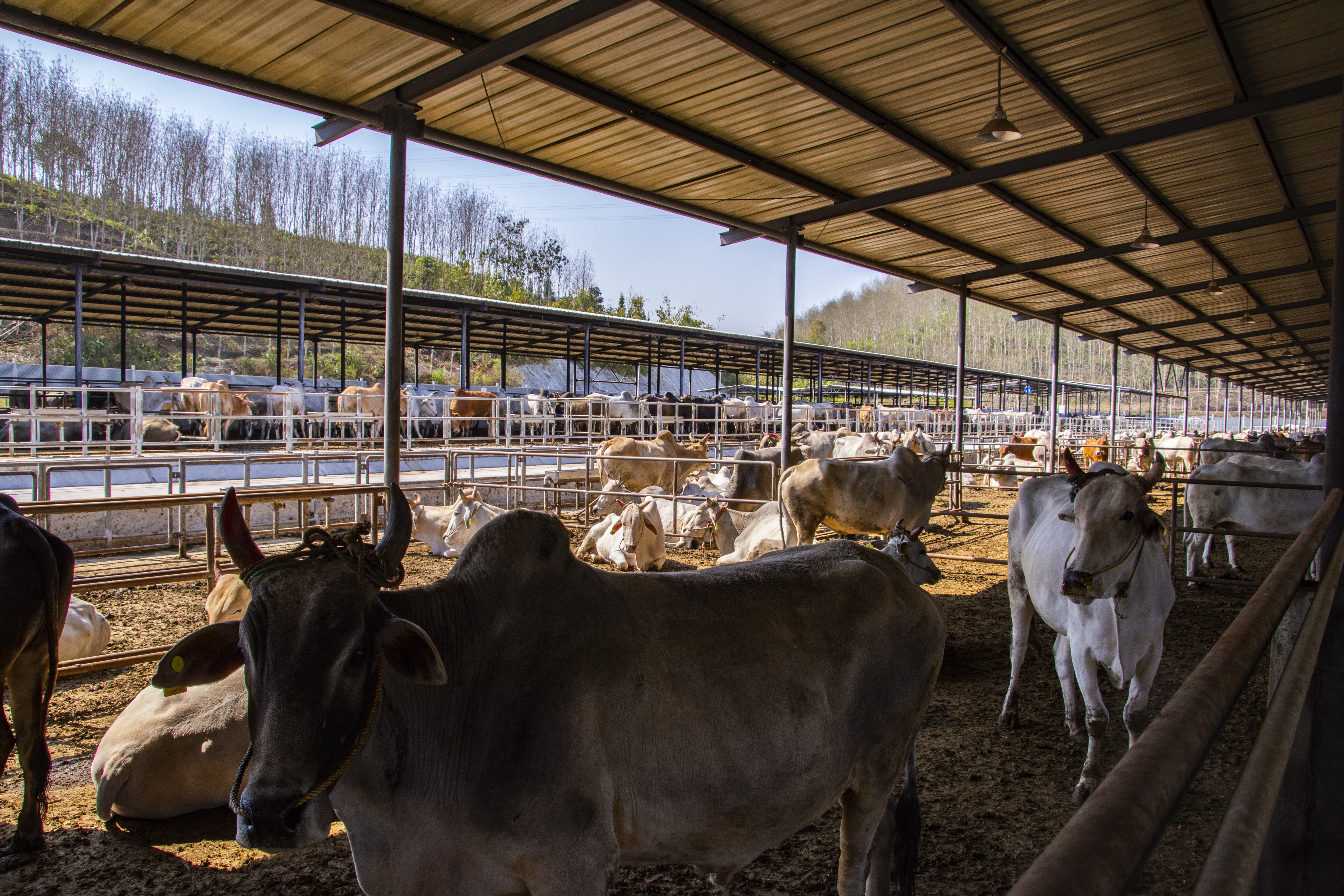 1685688784841457.jpg 微信圖片_20200730112908(1).jpg